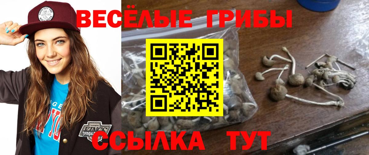 Галлюциногенные грибы ЛСД  Вход с VPN  Псилоцибиновые грибы ЛСД  Унеча 